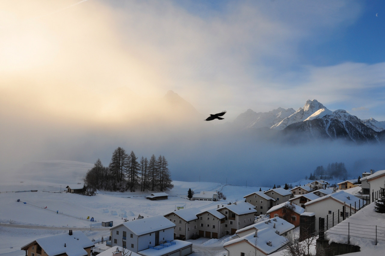 Scuol